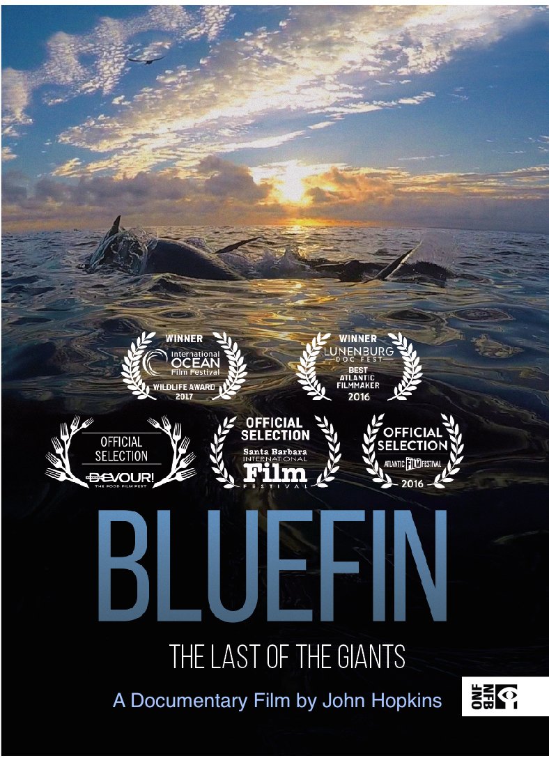 BluefinDoc's tweet photo. Bluefin WINS another US Award, Tacoma, Washington.
This doc just keeps swimming! Now 24 national and International Film Festival Selections! See what the splash is all about! #BluefinDoc Rent for only $4.99 here: https://t.co/jv3rmImnYC https://t.co/md3Ajr6RIx