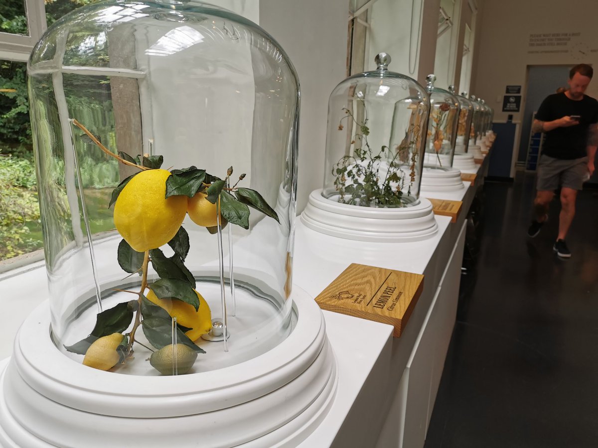 kejamieson_'s tweet image. Brilliant afternoon @homeofbombay for mum's birthday 😍

#BombaySapphire #BombayDistillery