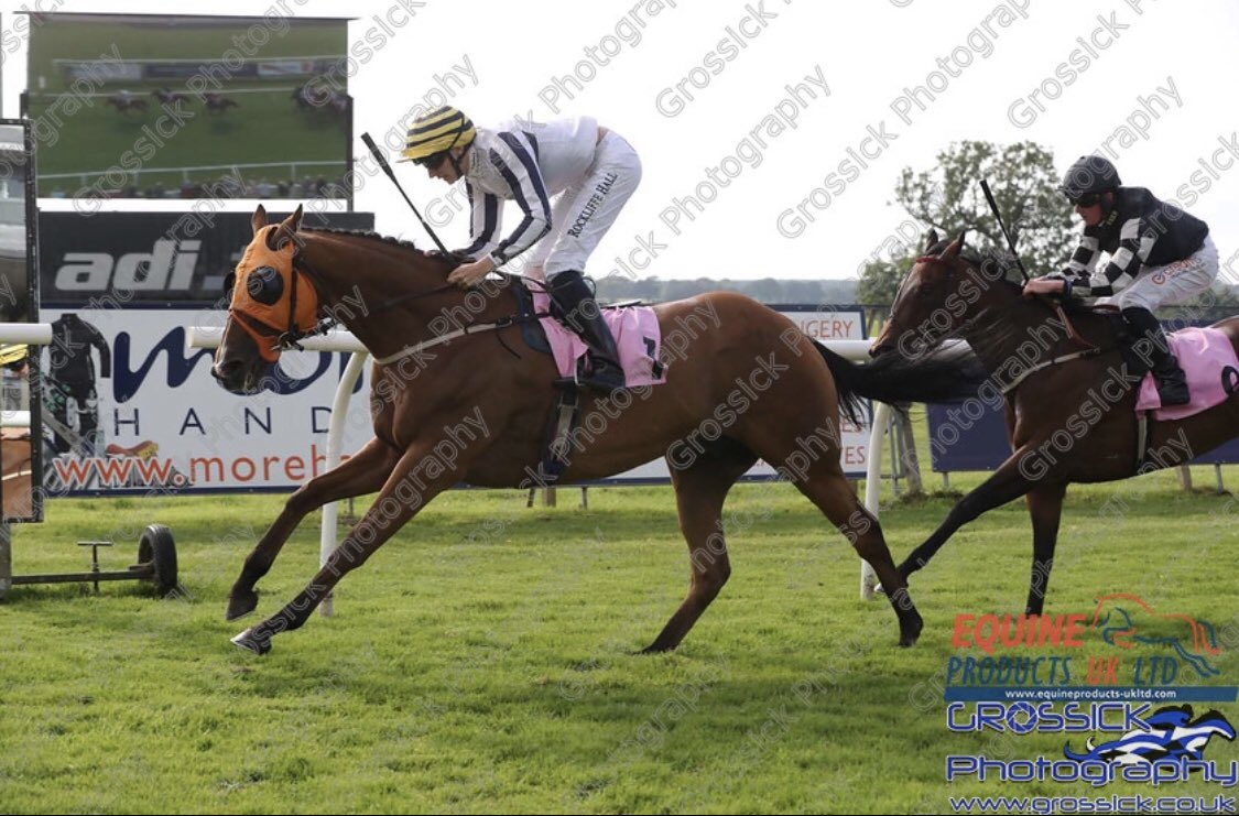 BeN_RobinsoN18's tweet image. Keep the ball rolling🚀#firstpastthepost @RockliffeHall