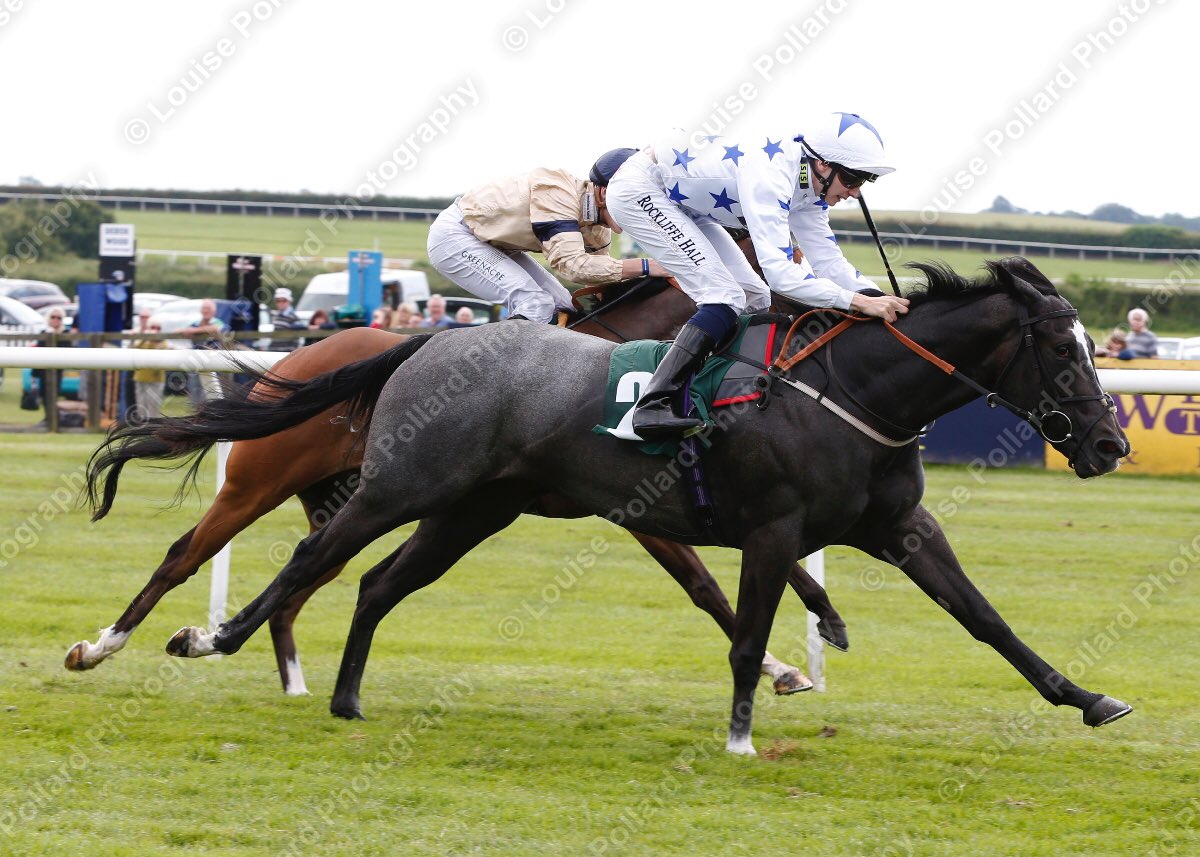 BeN_RobinsoN18's tweet image. Keep the ball rolling🚀#firstpastthepost @RockliffeHall