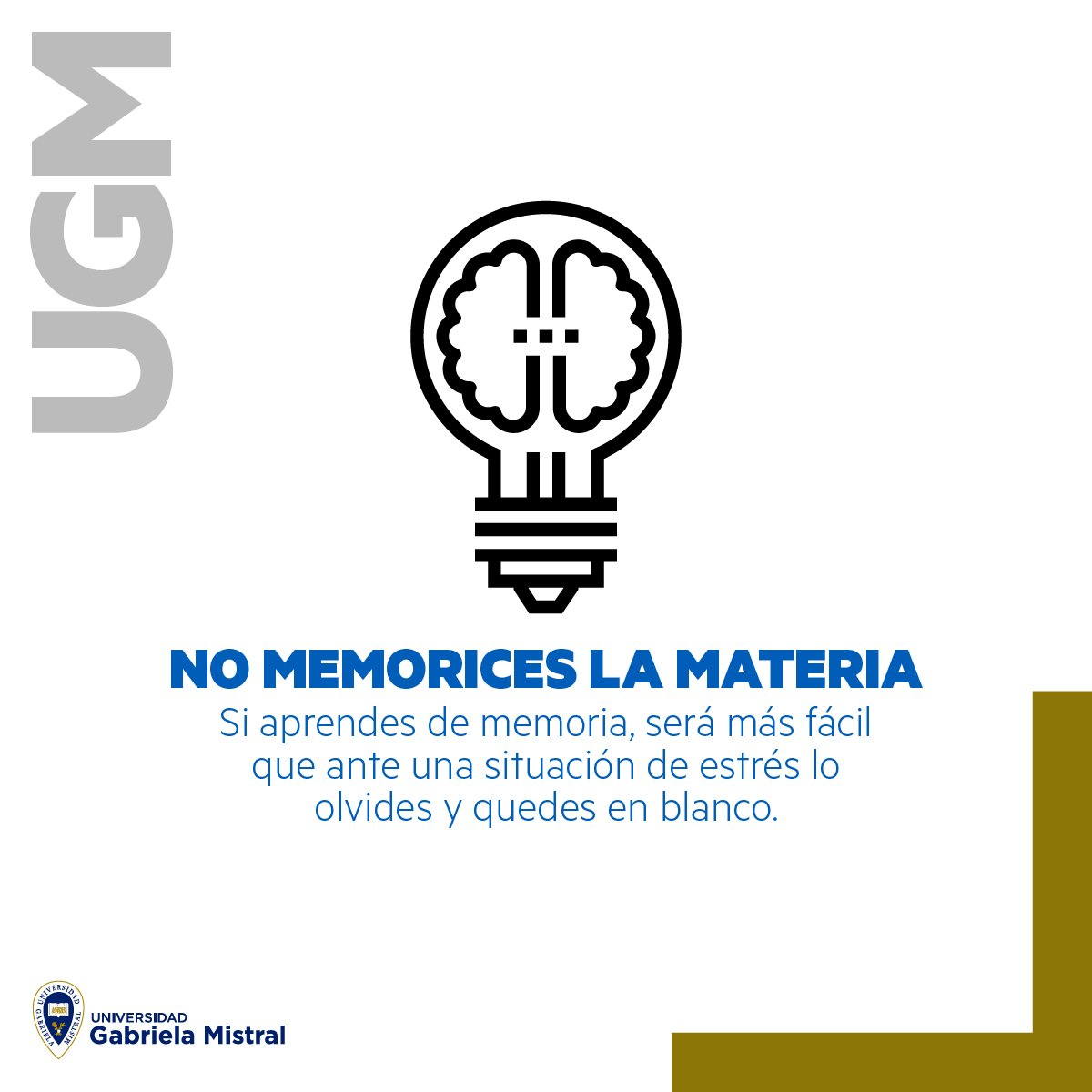 ugmistral's tweet photo. https://t.co/gCDWrJElrz