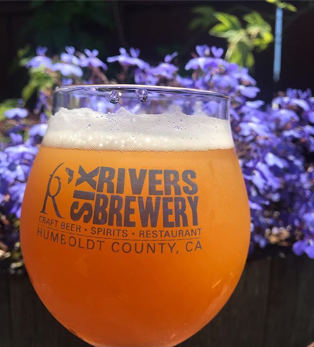 Happy FRIYAY! Lady’s Hazy &amp; West Coast IPA are $5 for a pint all day today! Come up to the brew, enjoy a nice cold one and holler because TGIF!! 🤩
.
.
.
#sixriversbrewery #craftbeer #ladyshazy #hazyipa #ipa #westcoastipa #deinkbeer #drinkresponsibly … ift.tt/2jEyc8t