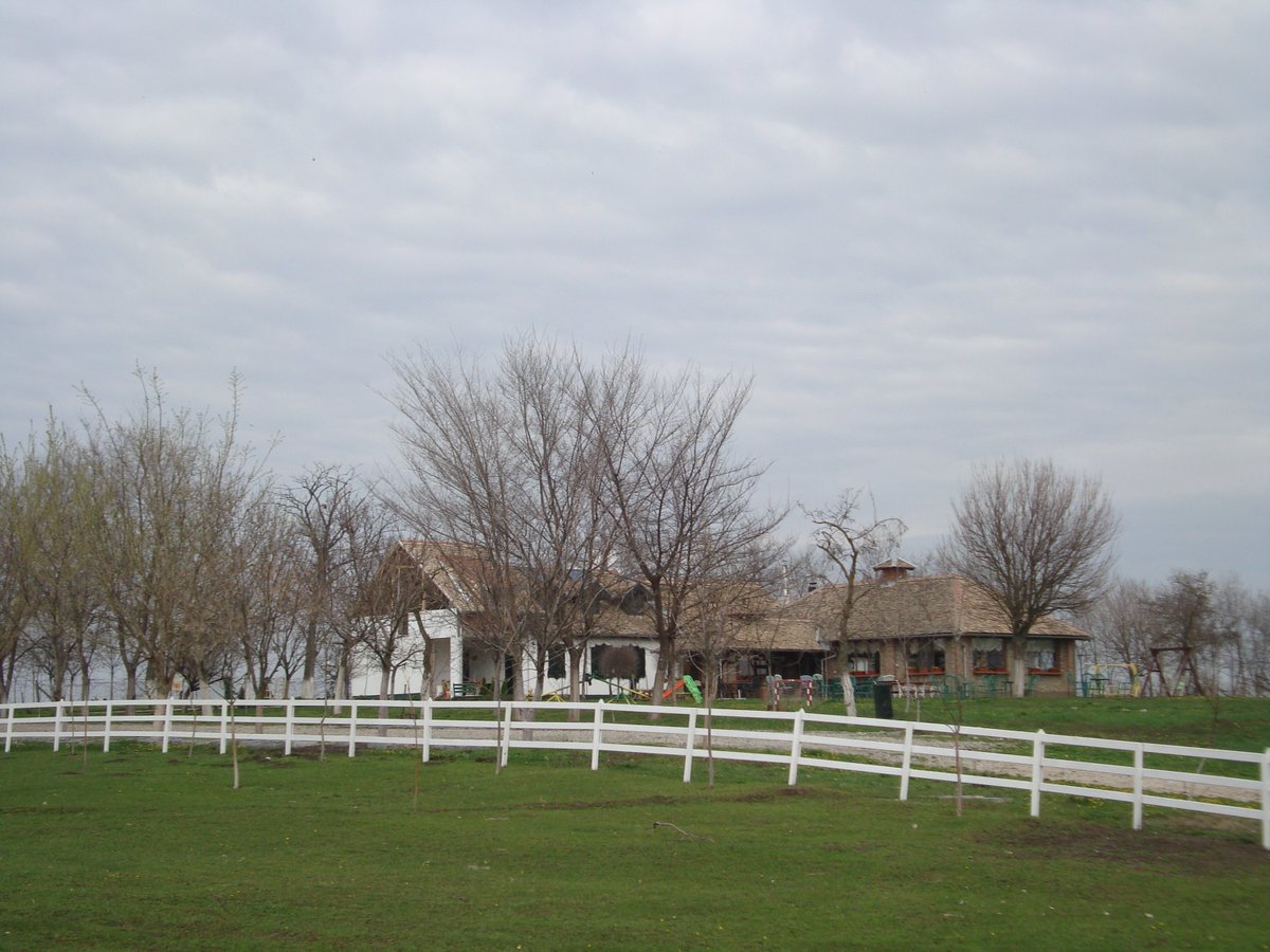 SVojvodine's tweet photo. Salaš Tatić, Turija
💙👌🐱🐶🐴🐟🌸🥗🥘🍻🥂🍷🥣🏸⚽️🎣
#salaštatić #vojvodina #turija #bačka #salašivojvodine https://t.co/z6T0se2Yx0
