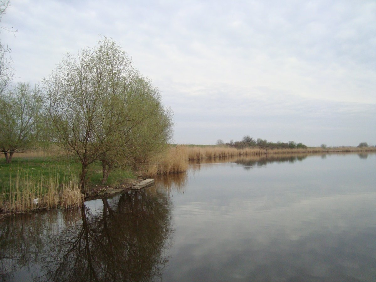 SVojvodine's tweet photo. Salaš Tatić, Turija
💙👌🐱🐶🐴🐟🌸🥗🥘🍻🥂🍷🥣🏸⚽️🎣
#salaštatić #vojvodina #turija #bačka #salašivojvodine https://t.co/z6T0se2Yx0