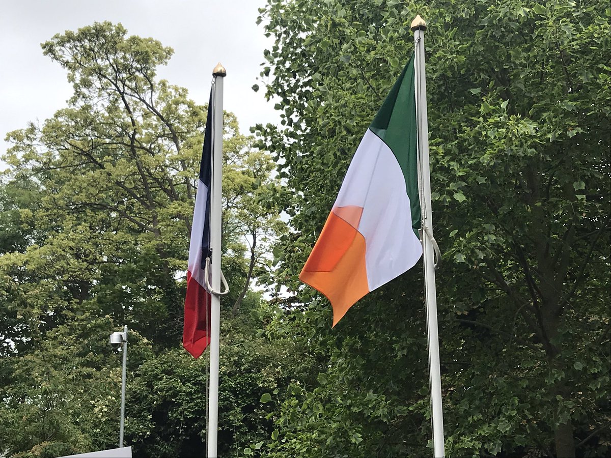 Rory Musgrave tweet media