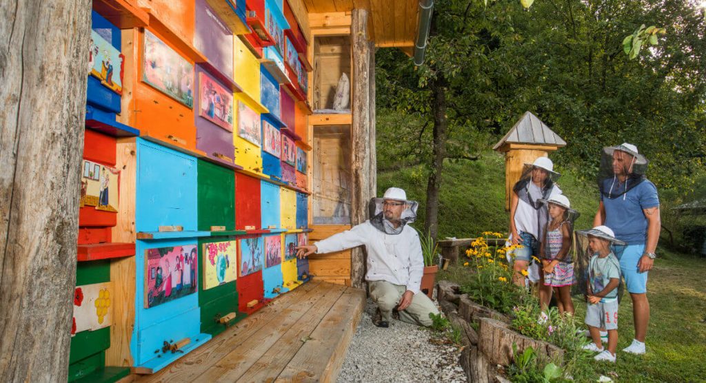 #Eslovenia se vuelca en su tradición apícola para posicionarse como un destino de refencia en #apiturismo Desde tratamientos SPA con relajantes masajes de miel, a una inhalación de aire de colmena, pasando por #apiterapia o visitas a granjas de #abejas 🐝❤️expreso.info/noticias/inter…