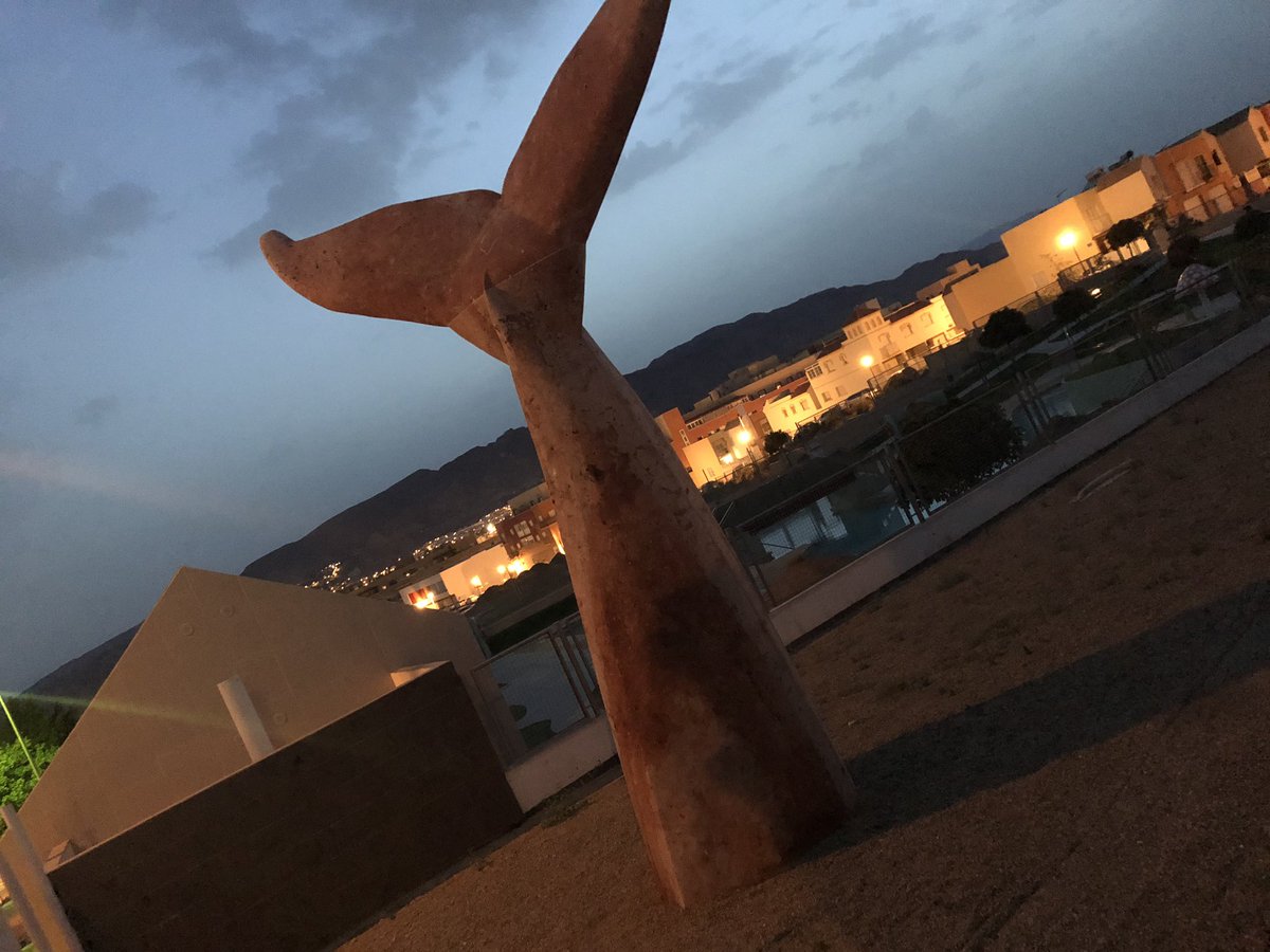 Acabamos la temporada de visitas a nuestro museo hasta después del verano. ¡Feliz verano a tod@s! 🐳