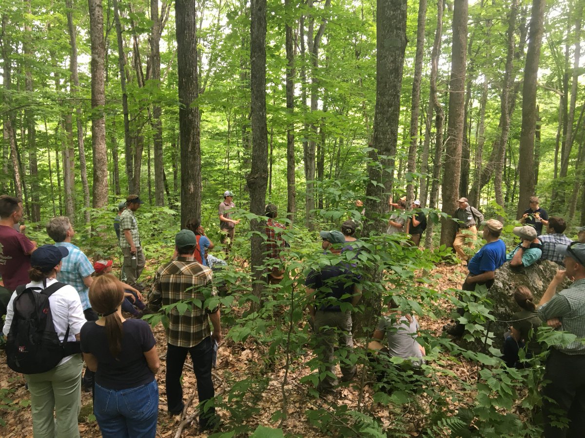 GreenfireVT's tweet photo. So great to be among other foresters this week pondering together new approaches to managing ash in #VT forests in the face of EAB. Thanks to our partners:  @forestguild @VTLandTrust VT Woodlands Association VT Coverts 
#DontBeRashWithYourAsh #VTisForestStrong #ILoveSilviculture https://t.co/myELY1dqay