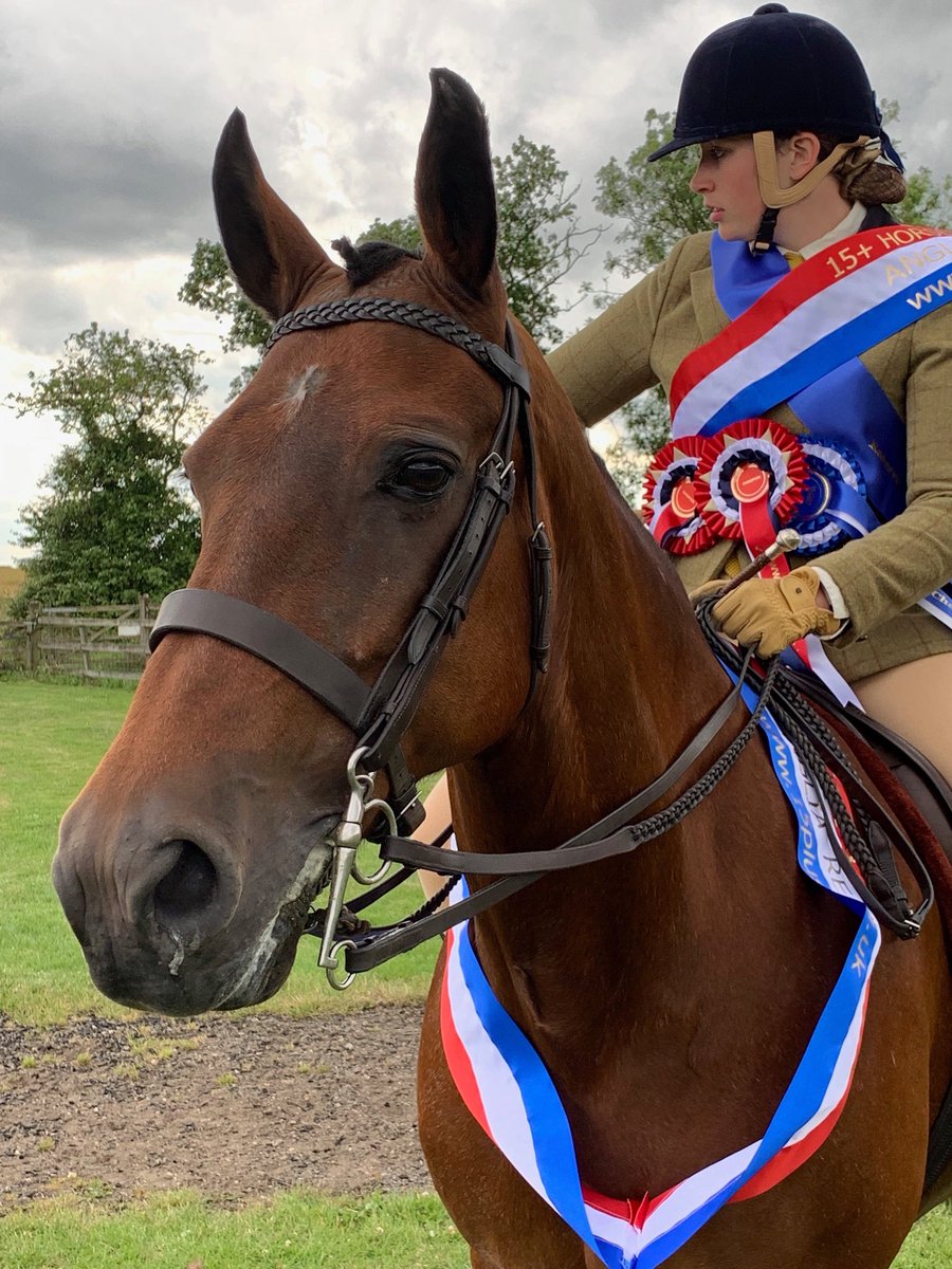 LeanneShadbolt's tweet photo. 💕 PIPPIN YOU LITTLE LEGEND!!! 💕
She absolutely blew me away on Sunday!! 15+ Anglia Regional Inhand Veteran Champion, 15+ Anglia Regional Ridden Veteran Champion, and Overall Reserve Ridden Champion!! Hard work really does pay off!! Love this little pony to the moon and back!!! https://t.co/fTP8oiA2XR