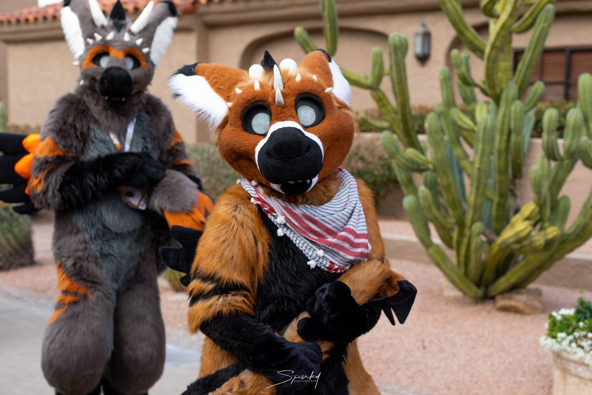PaintedDesertFC's tweet photo. Happy #Fursuitfriday from the valley of the sun. We hope your having a great Friday and staying cool.
@Sparkypics
#PDFC2019 https://t.co/3h9ISpGn83