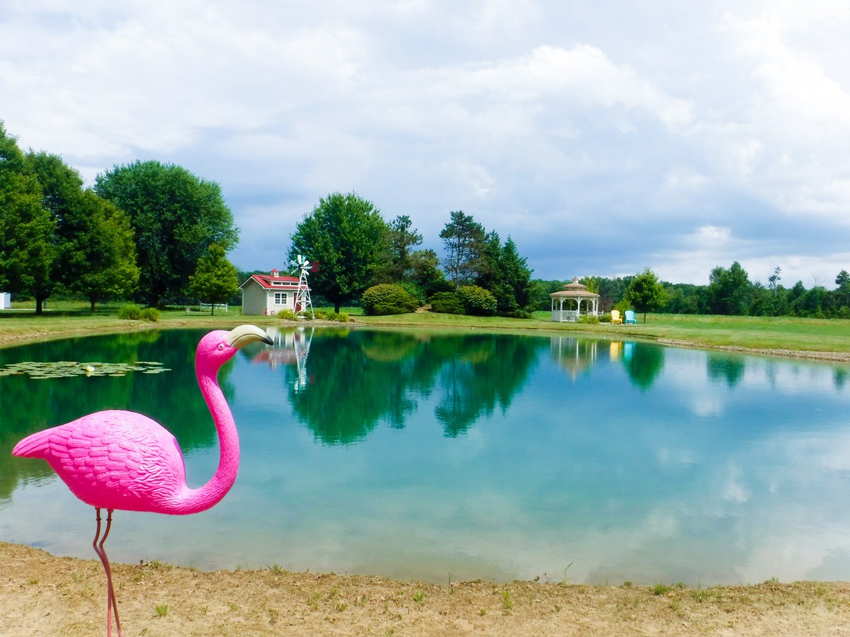 AQUA_DOC_Inc's tweet image. As we head into the weekend let's enjoy this beautiful backyard hide away! 
#lakeandpondmanagement #backyardbeach #funinthesun