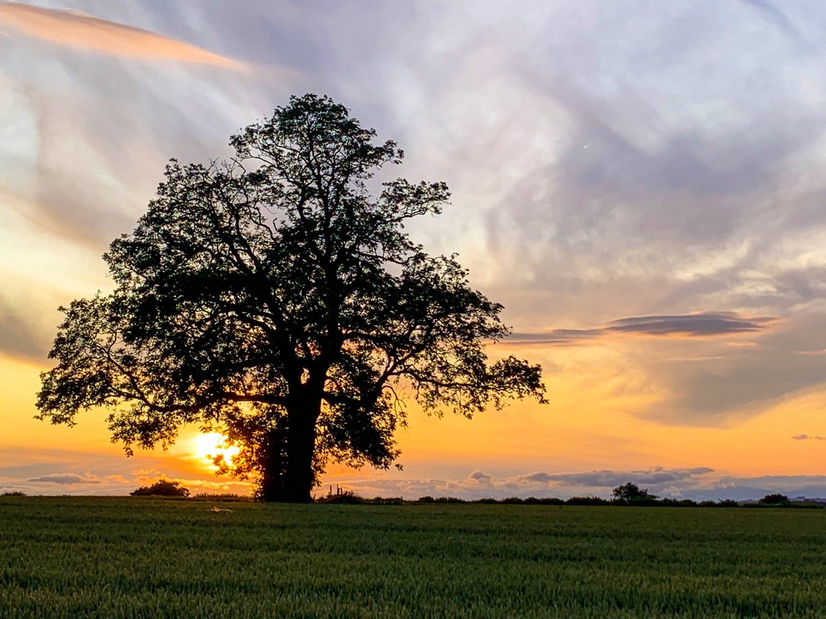 overthehedge3's tweet photo. That sweet spot between day and night.
#Derbyshire #StormHour #CloudAppSoc #ThePhotoHour #PhotographyWx #sunset https://t.co/cmR7815JwN