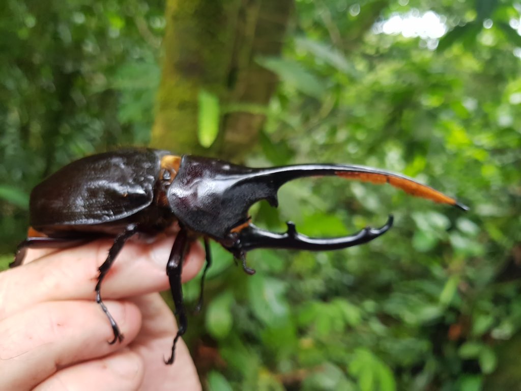 Nigel Marven On Twitter Wild Costa Rica Will Be A Show With An Images, Photos, Reviews