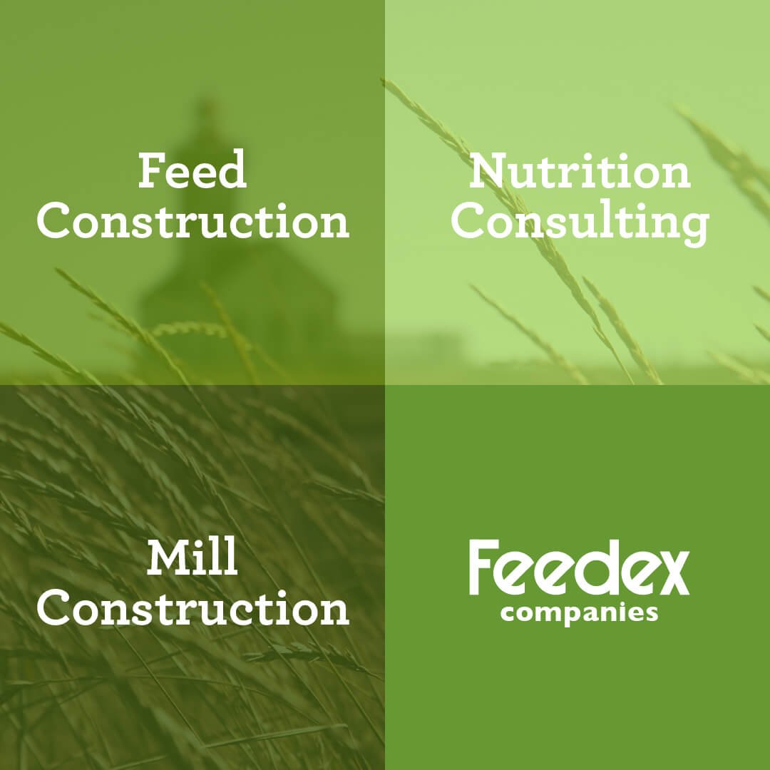 FeedexCo's tweet photo. Here at Feedex, we provide nutrition consulting, feed construction and mill construction, too! What we have to offer goes beyond just organic feed. #FeedexCompanies https://t.co/Y1zuQO0Xm6
