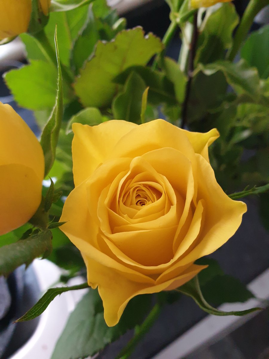 MissEmily_B's tweet image. Lovely catch up with kindred #Marketing spirit @DebbieRocket @BentleysCoulby this week. Always good to hear of a budding new #Business launching in the region, especially when its owner is such a great person. Give Blooming Rocket @DebbieRocket a follow 🙏🌸