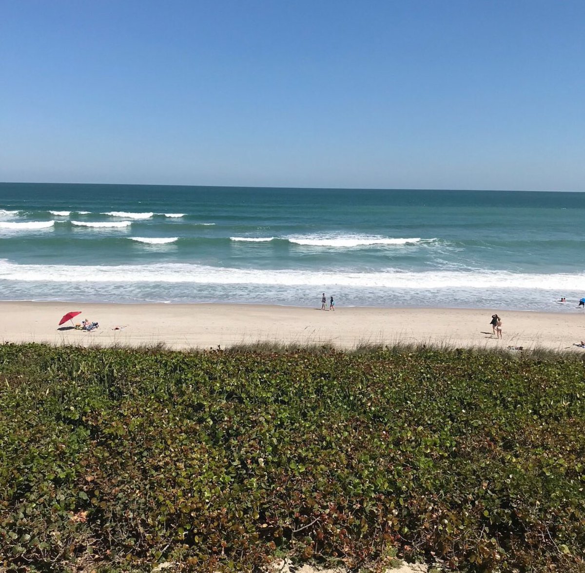 DoubleTreeMLB's tweet photo. Let the weekend begin! π
π· @kgamache
#suiteviews #weekendvibes #tgif #lovefl #melbournefl https://t.co/5otdAbsj2d