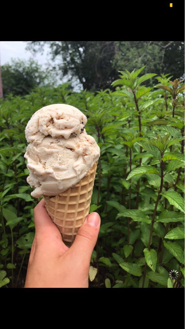 Sisters of Anarchy Ice Cream tweet media