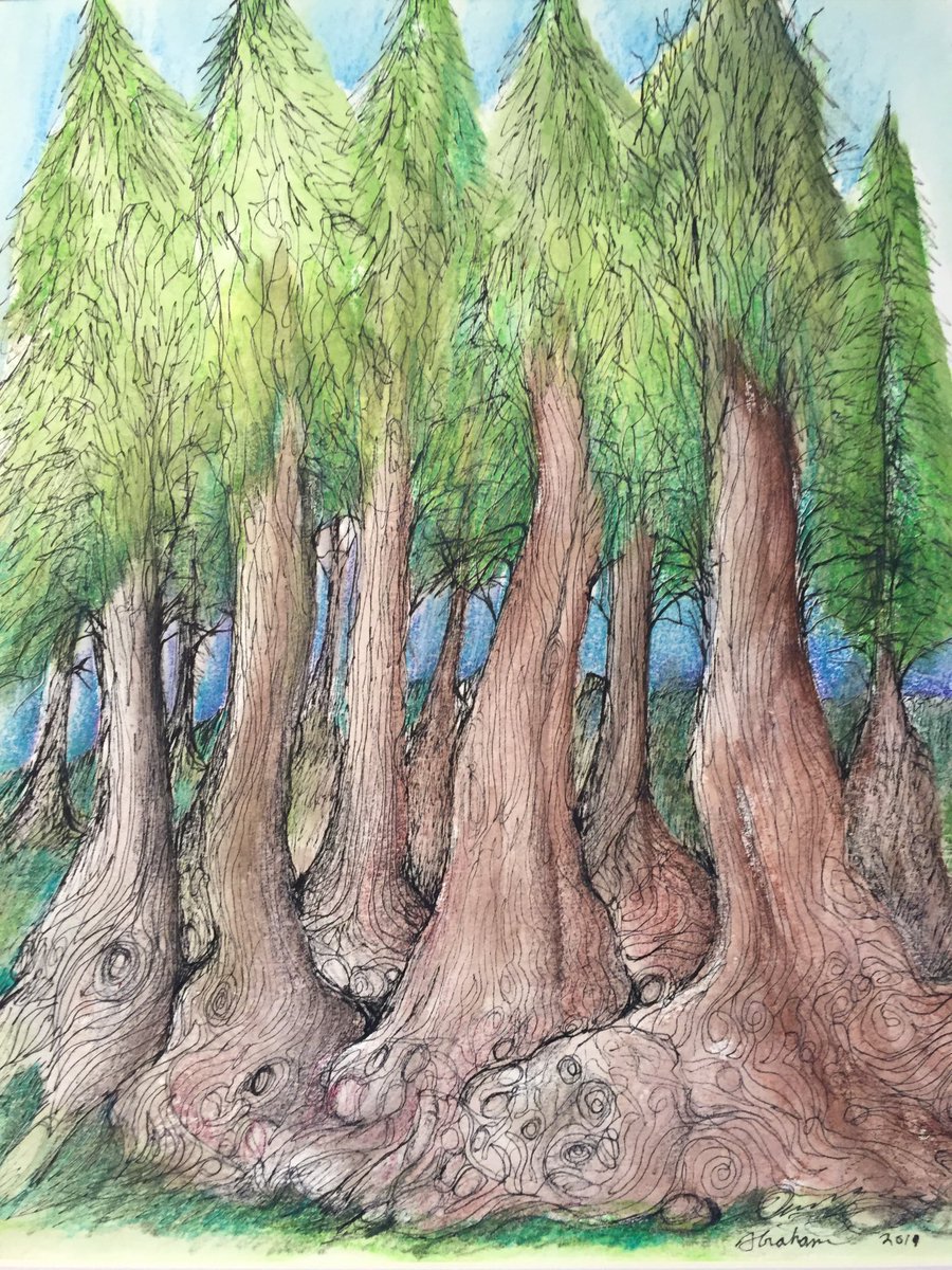 MatthewFrahm's tweet photo. From the Leadership Institute to the Leadership Academy, no one has done more to develop a "root system" connecting, supporting, and nourishing #WFLleaders in the region. @jdbillscnzm will be deeply missed as he begins a new chapter at @WestGeneseeCSD. #naplescsd https://t.co/GzXcCgxNQN
