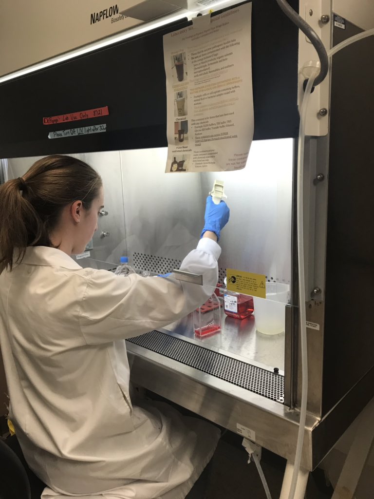 Young, smart and talented co-op student impressing all at Ottawa U Biochemistry Microbiology lab #ocsb #ocsbCOOP #ocsbSHSM @CapoOttawa @DarBorland @OCSBContEd