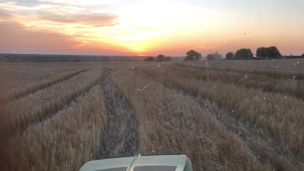 Started cutting wheat yesterday. Latest we’ve started cutting in the 20 years I’ve helped my uncle harvest. <a href="/NationalWheat/">National Wheat Foundation</a> <a href="/NebraskaWheat/">Nebraska Wheat</a> <a href="/NTVsGrow/">NTV's Grow</a>