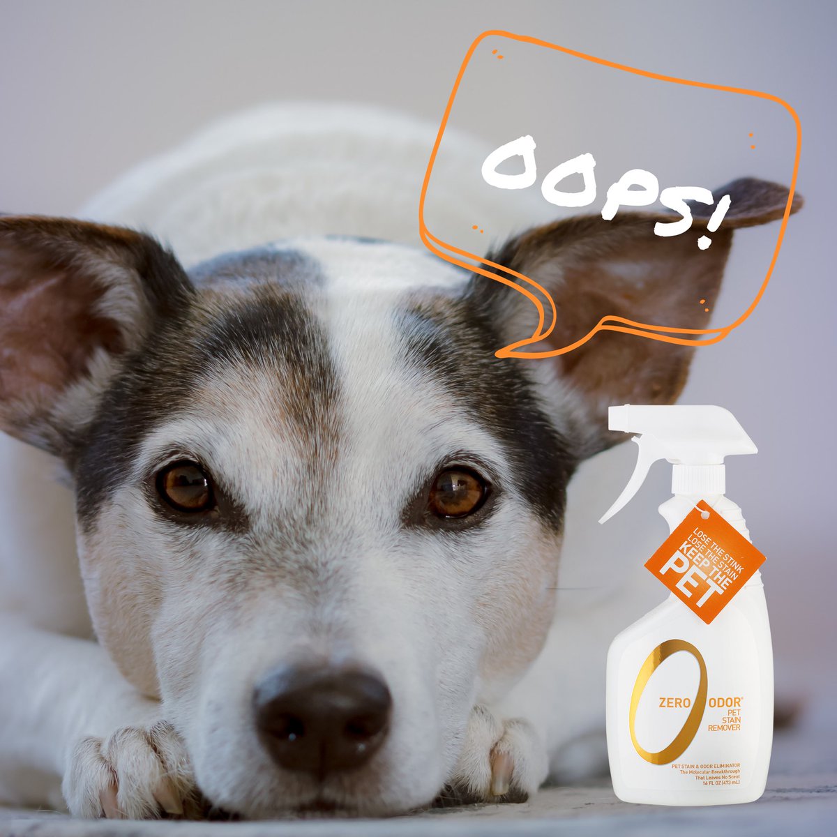 Zero Odor® Pet Stain Remover simultaneously attacks pet stains &amp; odors on any material to keep your life clean 🧡 Try it today by using the link in our bio! 
.
.
.
#dogs #cats #petodor #petstain #petstainremoval #odorremoval #odoreliminator #stainremover #stainremoval #pets