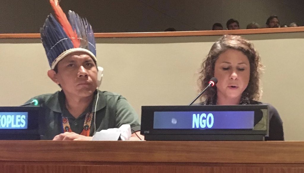 petervansluijs's tweet photo. Proud to see my @idps_cspps colleague @mgpaivaCor deliver the #civilsociety call for amplified commitment and accelerated action on SDG16+ #RomeDeclaration (@ #stellarspeed) https://t.co/yT2j484CF9 https://t.co/LeUvm1cfFi