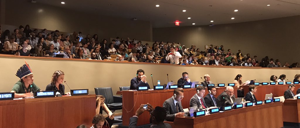 petervansluijs's tweet photo. Proud to see my @idps_cspps colleague @mgpaivaCor deliver the #civilsociety call for amplified commitment and accelerated action on SDG16+ #RomeDeclaration (@ #stellarspeed) https://t.co/yT2j484CF9 https://t.co/LeUvm1cfFi