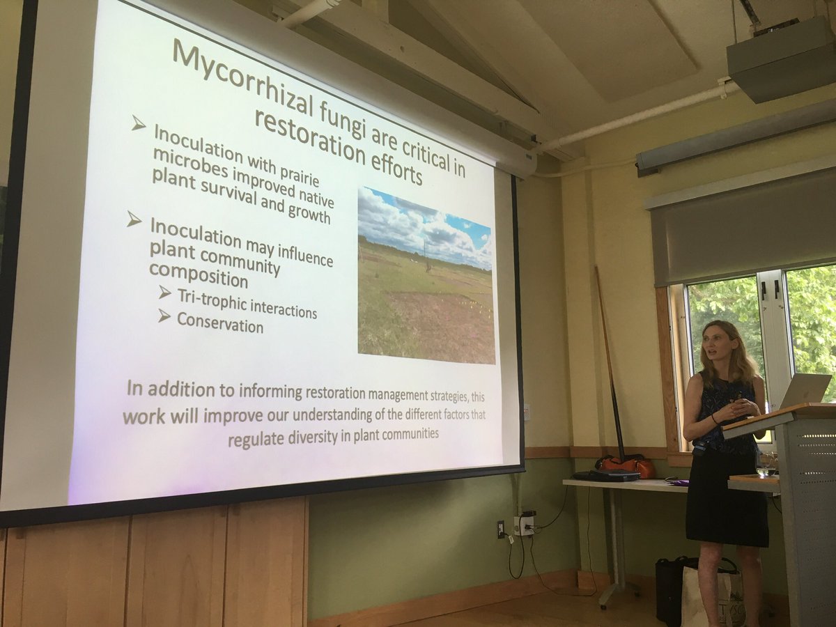 WashU Biology (@washubio) on Twitter photo Dr. Cheeke <a href="/tanya_cheeke/">Tanya Cheeke</a> from WSU joined the Tyson Community @WashUTyson Thursday to speak on the importance of mycorrhizal fungi, organisms that attach to plant roots and aid in nutrient uptake, in the restoration of the dwindling tallgrass prairie ecosystem. -<a href="/RachelBecknell/">Dr. Rachel Becknell</a> Dr. Cheeke <a href="/tanya_cheeke/">Tanya Cheeke</a> from WSU joined the Tyson Community @WashUTyson Thursday to speak on the importance of mycorrhizal fungi, organisms that attach to plant roots and aid in nutrient uptake, in the restoration of the dwindling tallgrass prairie ecosystem. -<a href="/RachelBecknell/">Dr. Rachel Becknell</a>