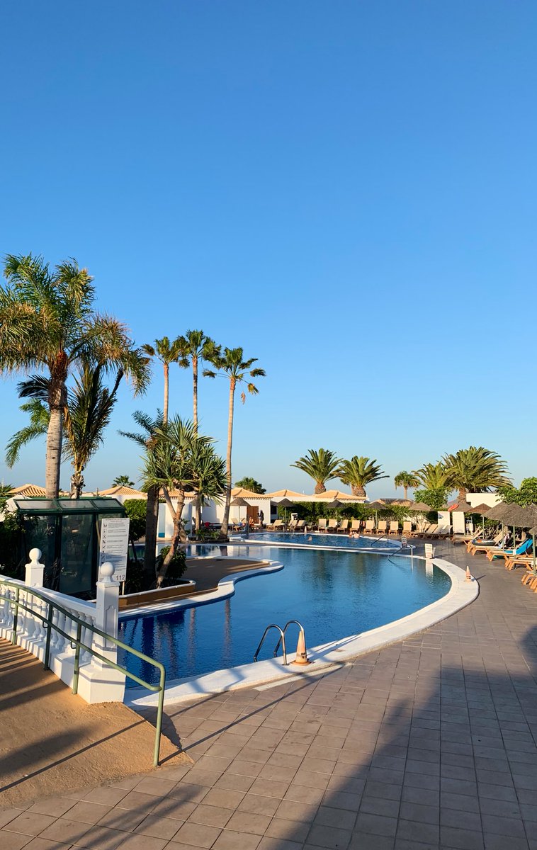 Adán RTCC tweet media