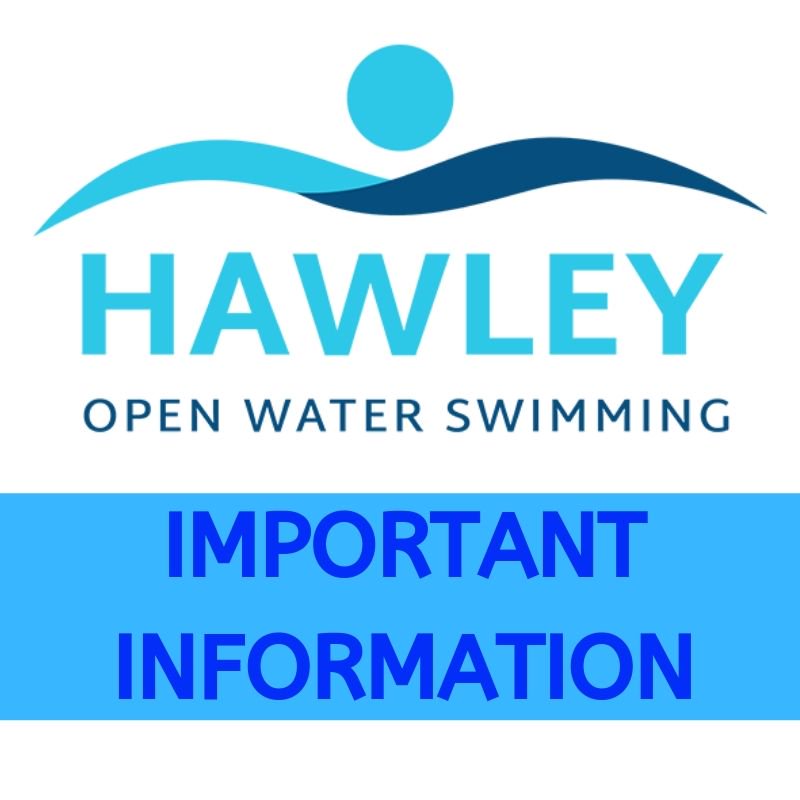 Hawley OWS tweet media