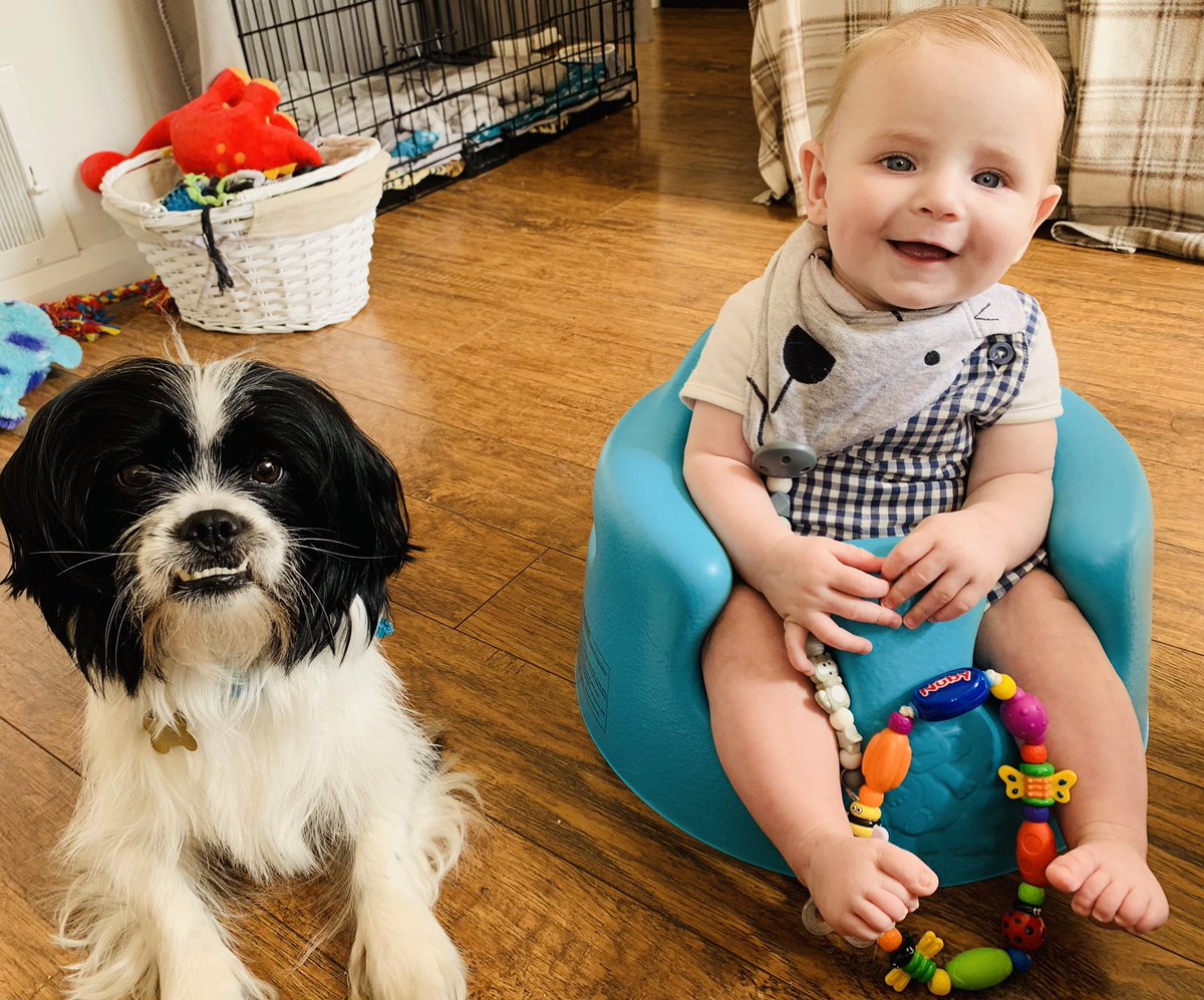 xLauraEdwardsx's tweet photo. @Tilly95156835  Fergus takes his brotherly duties seriously 😂�� https://t.co/RLoVIPz0ux