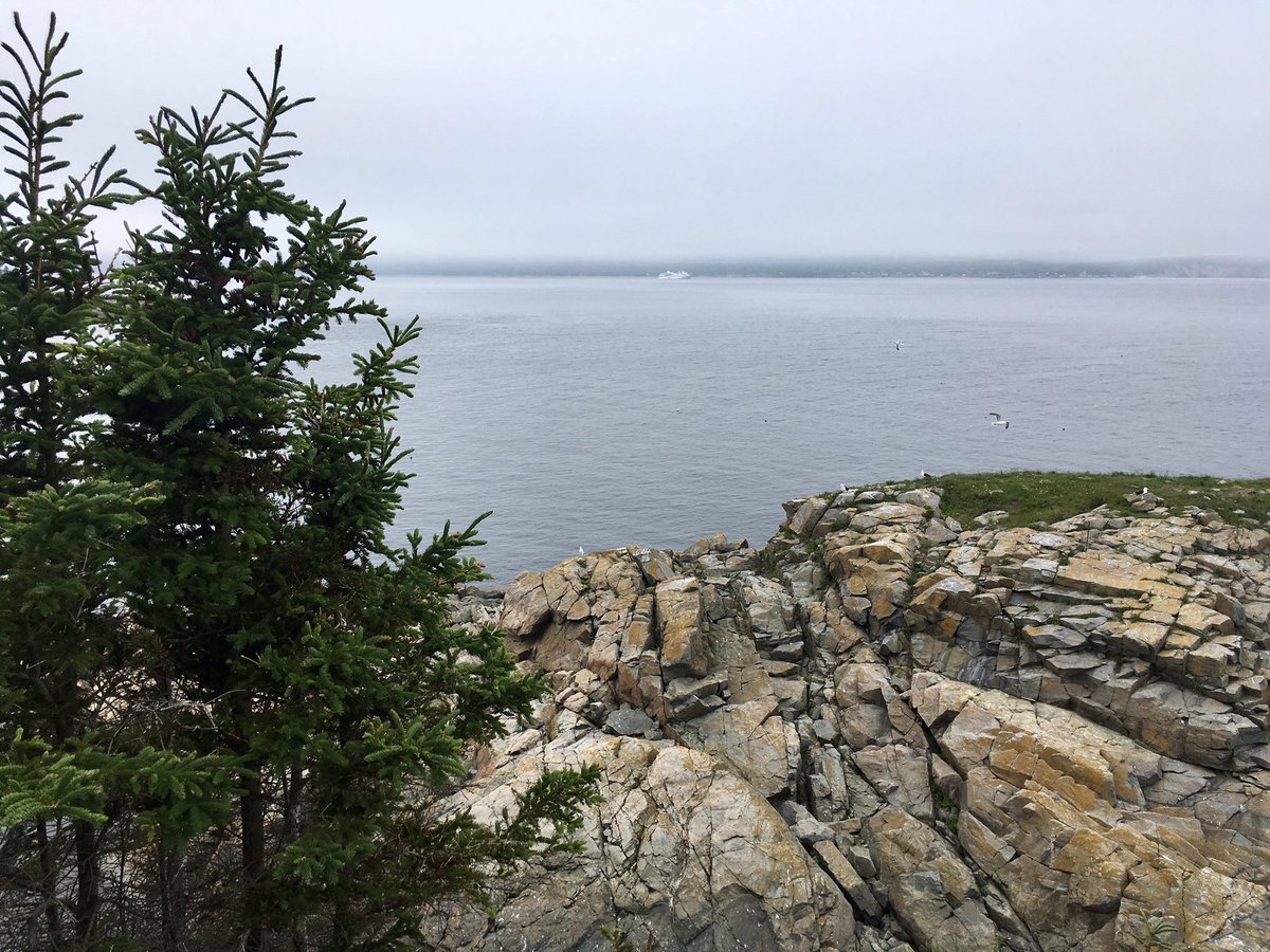 Guy_Theriault's tweet photo. Hiking on @ParksCanada @ParksCanada_NS #MiddleHead trail in #CapeBretonHighlandsNationalPark on our @OneOceanExp #RCGSResolute expedition cruise outing in @TourismCB Can you see our ship way out in the distance of the 3rd image? https://t.co/v1BpWS3GiV