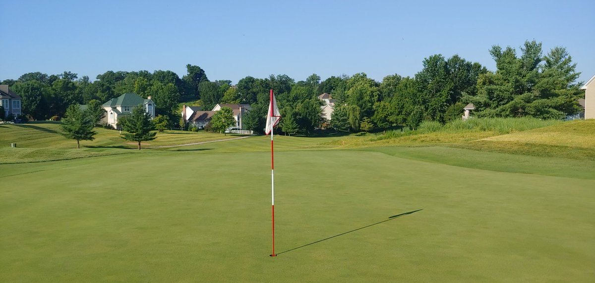 WhitmoorCCGrounds tweet media