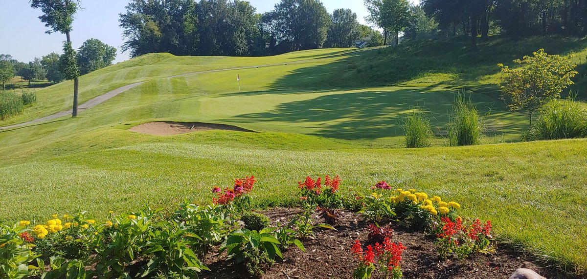 WhitmoorCCGrounds tweet media