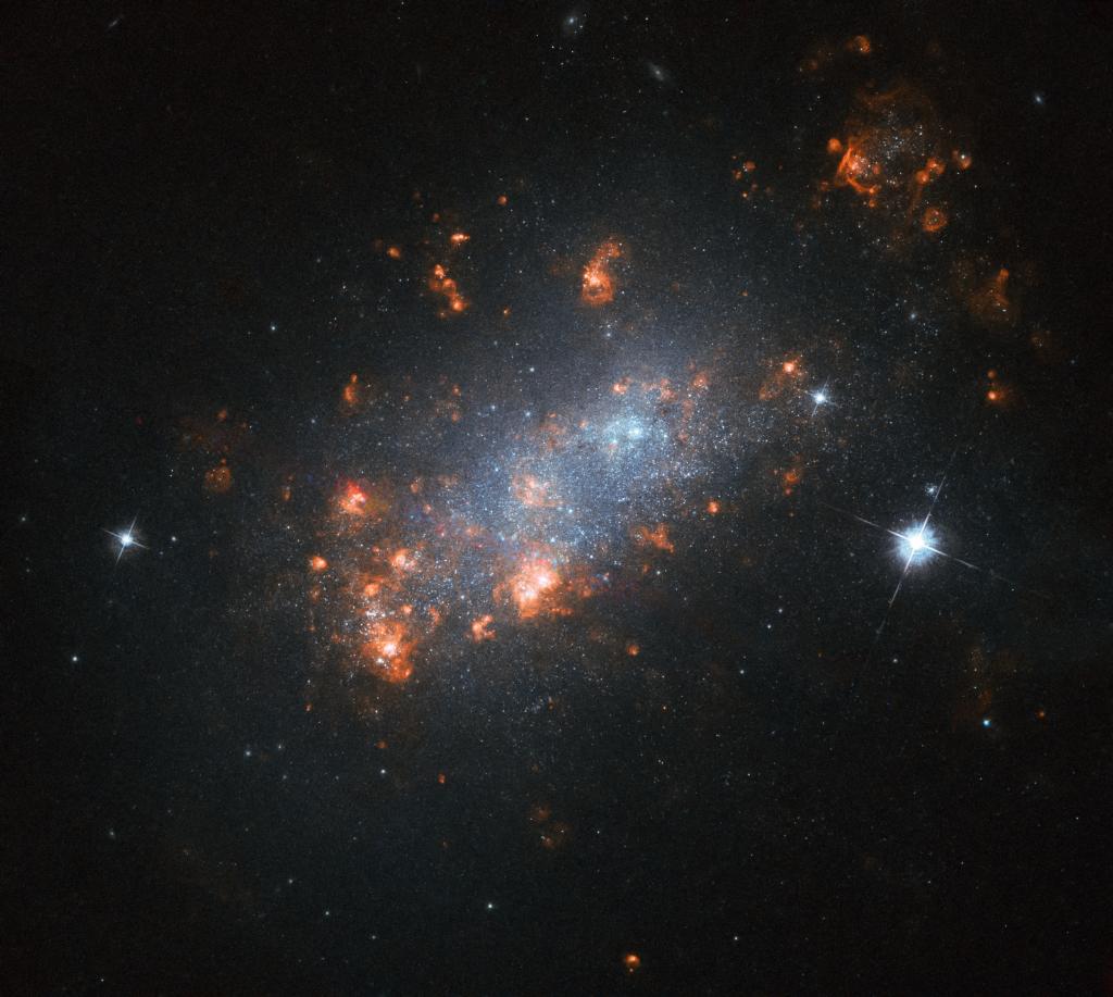 NASA's tweet photo. Galactic cherry blossoms are in peak bloom! 🌸

This scrambled galaxy as seen by @NASAHubble resembles a flowering cherry blossom tree. The bright regions are actually stellar nurseries, where new stars are blooming. Learn more: https://t.co/HO1BMOlBEF https://t.co/ATDGDjIq0Z