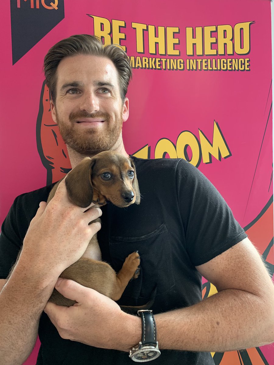 skaispooner's tweet photo. We are #hiring! MiQ Canada is looking for a marketing intern to join our team. We have Brits and Dogs :) 
Contact jihan.aziz@miqdigital.com
 #digitaladvertising #digitalmarketing https://t.co/q0HFhUFzvp