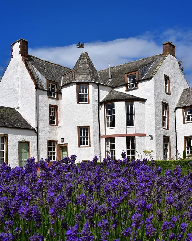 HiddenHadd's tweet photo. Glorious blue skies of lavender at Haddington House ☀️ #hiddenhaddington #haddingtonhouse #haddingtonhistory #bloominghaddington #visithaddington #haddingtongardentrust #17thcentury #1680 #oldestdwelling #stmaryspleasance #lavender #eastlothian #scotland… https://t.co/GivdHRi54V https://t.co/JJTNG1dCPg