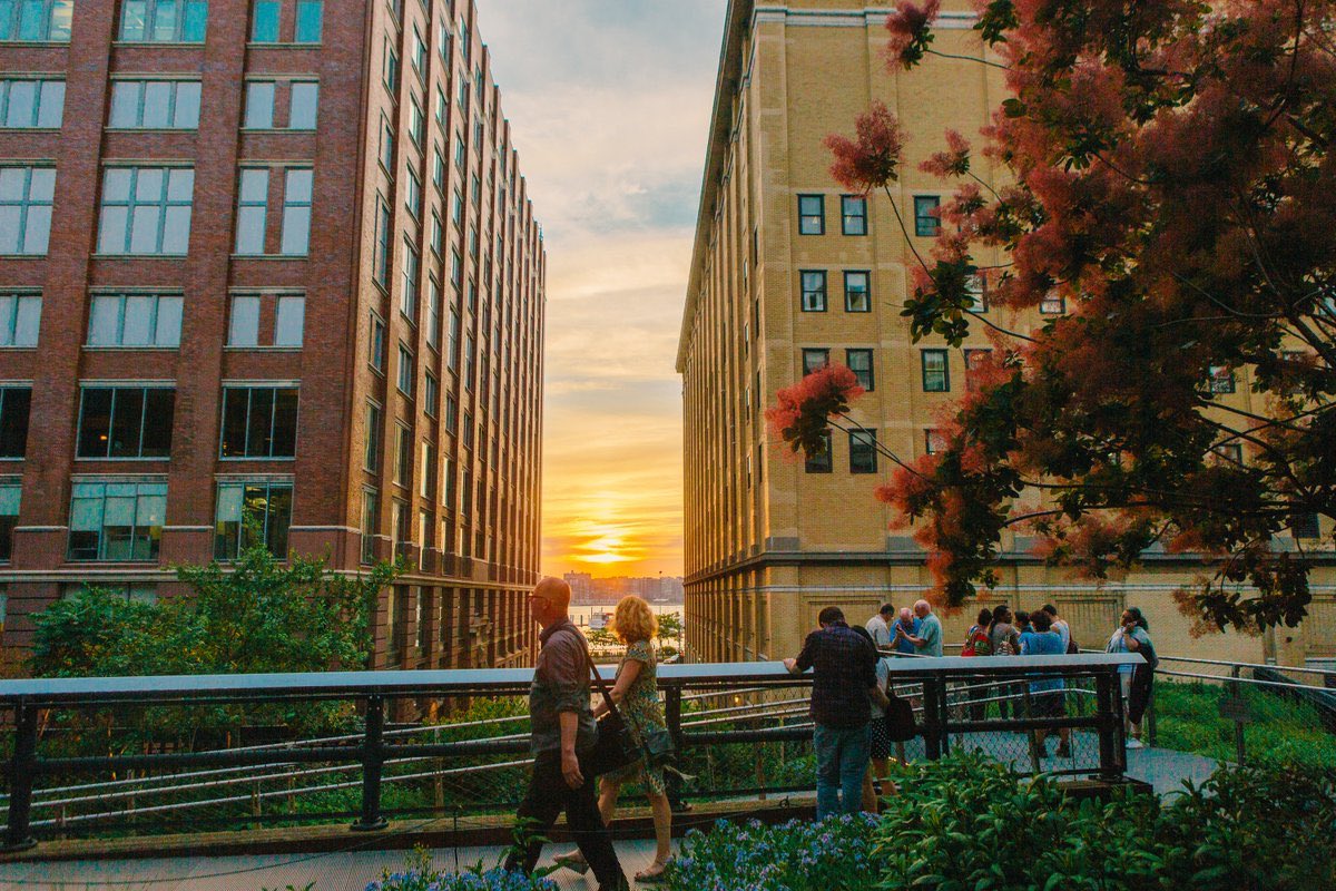 highlinenyc's tweet photo. 200 years ago, architects designed the grid of NYC so the setting sun hits our east-west running streets. Take in the biannual glow of the cityscape that is #Manhattanhenge—on the park at 14th or 23rd Street, tonight 7/12 at 8:20pm EST and tomorrow 7/13 at 8:21pm EST. https://t.co/0QgWSazBoB