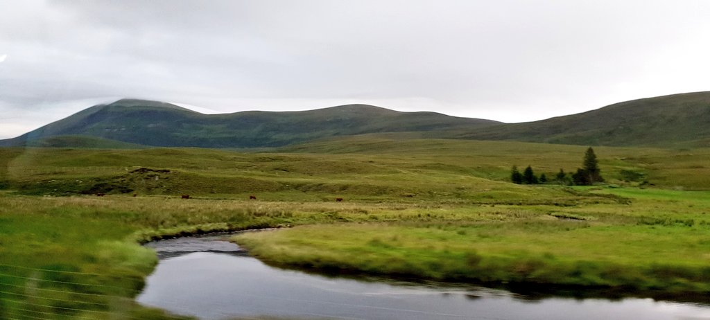 AliceVoetter's tweet photo. Alba gù braha! We're back in Scottland! #tongue #sutherlandtrail 👣👣👣👣 https://t.co/1pieQBcEUs