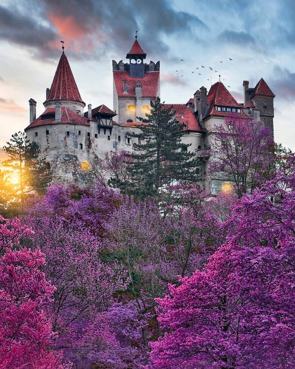 Bran Castle (Dracula's Castle)
Romania #castle #castlelife #dracula #travelawesome #travel RT
