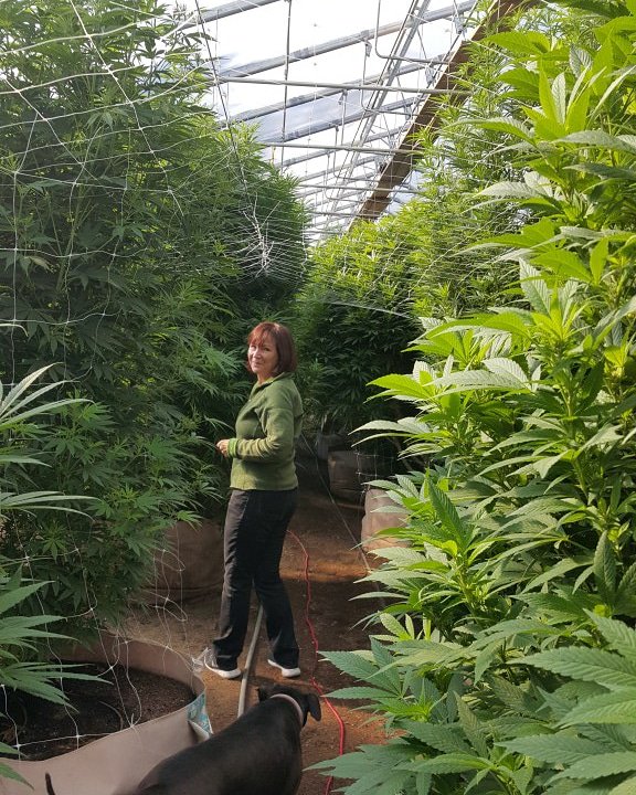 seed_market's tweet photo. Born and bred in Oregon 🤘🇺🇲

#seedbank #oregon #usa #growyourown #ganja #bud #weedseeds #CannabisNews #cannabiscommunity #trending #qualitygenetics #marijuanaseeds #potseeds #pot #love #passion #f1genetics #poundforpound https://t.co/A5BT4bHUZX