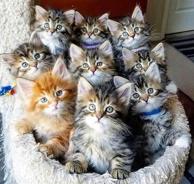 Yuji_Rich's tweet photo. #FollowHappySaturday
@JoanJuna 
@GiaGali 
@VelvetSkye 
@anjlina0569 
@AiyanaM3 
@Narges37691163 
@Oi__4i 
@glorious20m 
@TatumCWells 
@Aroly_YO https://t.co/vBeI7XSvpr
