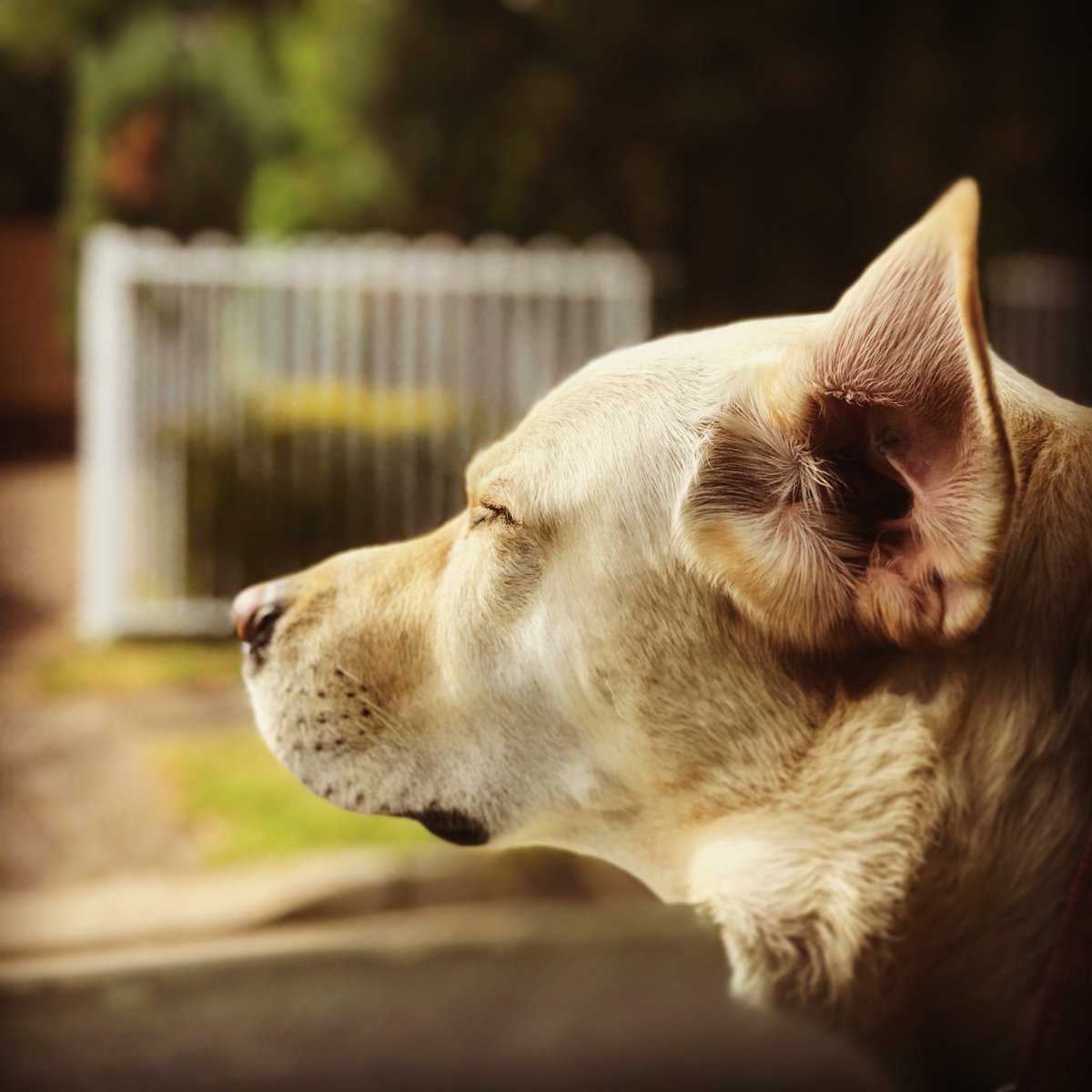 We're on the #hunt for followers! We've updated our online presence, but need to reach our audiences. If you've ever been to our theatre and want to keep updated with our latest, please LIKE, FOLLOW, SHARE or RETWEET our posts. #SocialSaturday #FringeGetsClassy #60YearsOfFringe