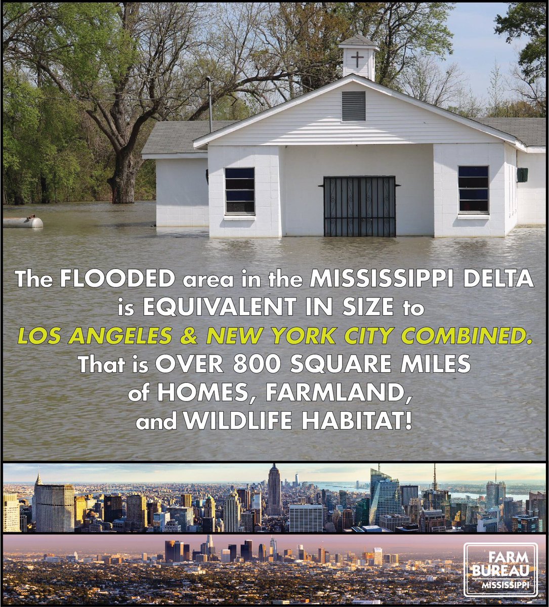 deltaroots14's tweet photo. @USATODAY What about us??? It’s been 5 months and we are bracing ourselves, too! https://t.co/urm51fixVc