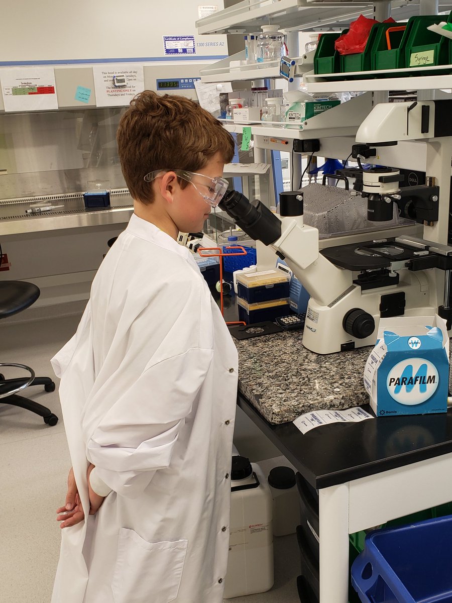 JulieBorlaug's tweet photo. Luke loved the tour of @Inari_Ag new office and labs. He had the best scientific team in the industry teaching him about protoplast isolation! #nextgenetationhungerfighter #nextnorm @WorldFoodPrize @USDA_ERS @BorlaugLEAP https://t.co/YmFi5PtkWz