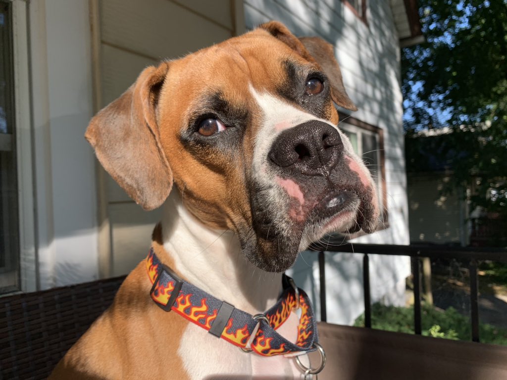 HaillyMiller's tweet image. Floyd is perfection. But I’m a little bias 😍