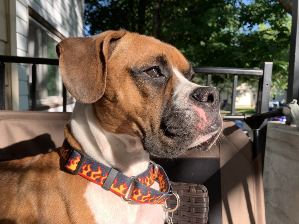 HaillyMiller's tweet image. Floyd is perfection. But I’m a little bias 😍