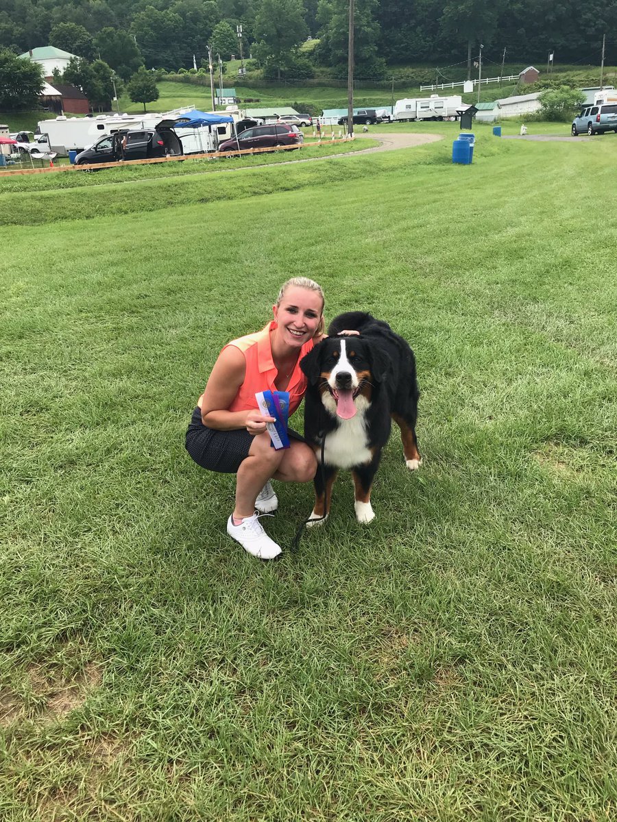 Allison Harding (@AllisonPetSit) | Twitter