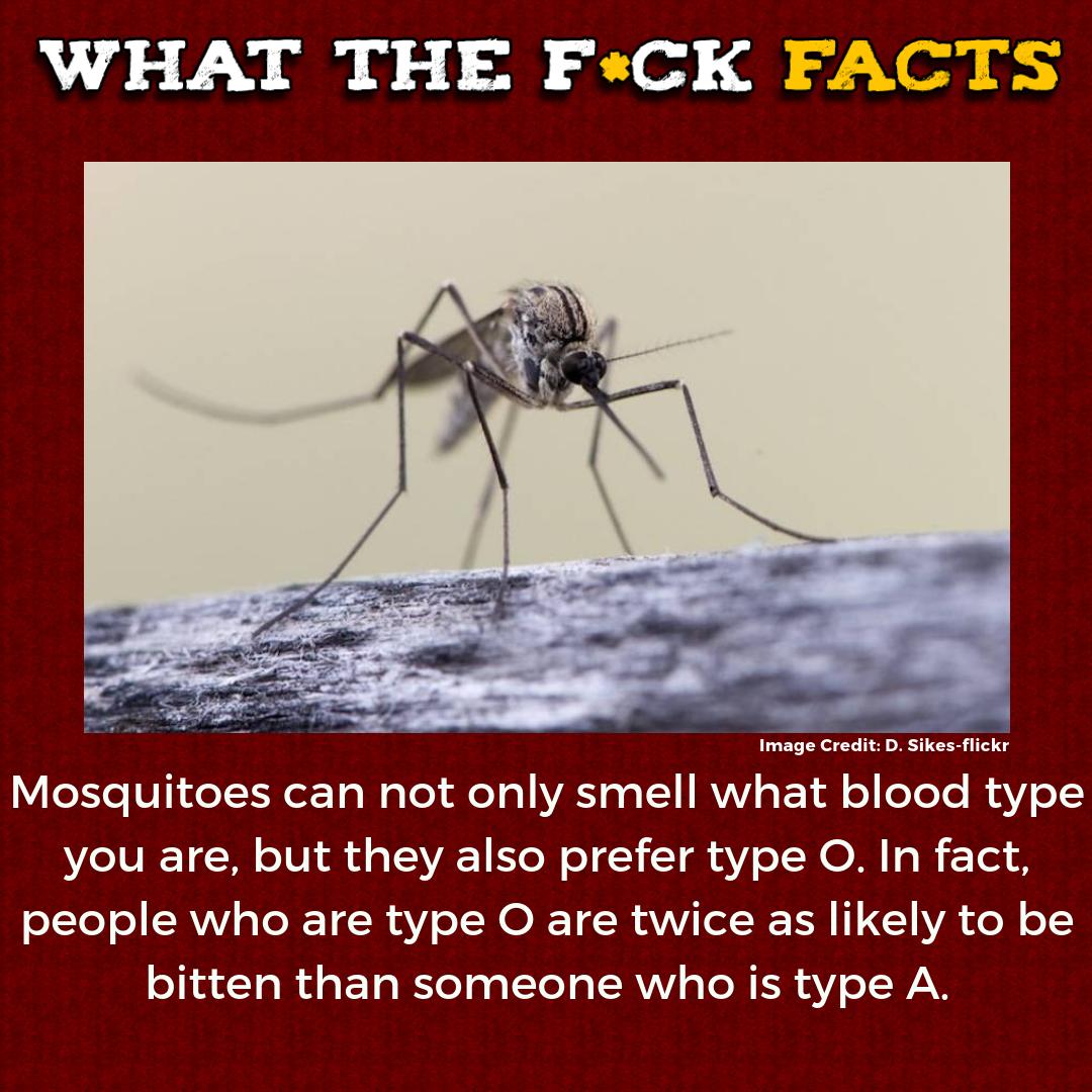 WhatTheFFacts's tweet photo. https://t.co/ntEGHlRAqq