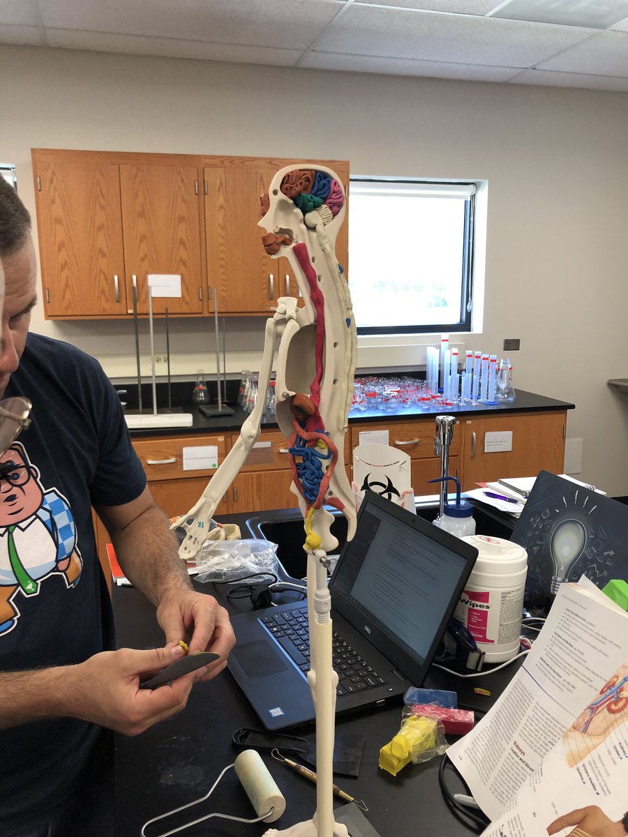 MrsTLLarkin's tweet image. .#larkinHBSkids #jchslife little preview of repiratory and urinary system activities ~ building your body systems one at a time! What’s your manikins name going to be? 🤪🤪 #learnthroughprocess